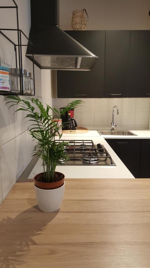 Sveti Vid Apartment Rijeka Ngoại thất bức ảnh